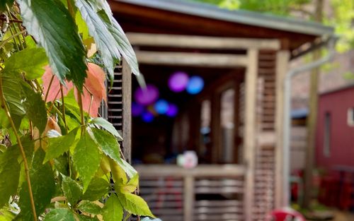 https://kulturkueche-karlsruhe.de/veranstaltungen/listening-session-lauschgarten/?appt=0